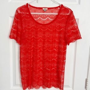 NWOT Fossil | Lace Top